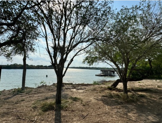 Land for Sale in Rio Hondo Texas 78583